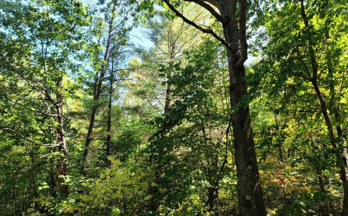 Ohio River Scenic Byway, Racine