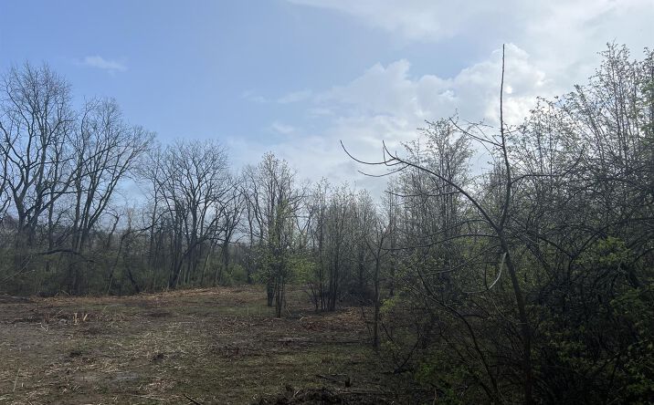 Walnut Creek Drive, Liberty Twp