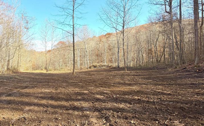 Pictures of Land property located at S Side Chenoweth Fork Road, Sunfish Twp, OH 45660 for sales - image #1