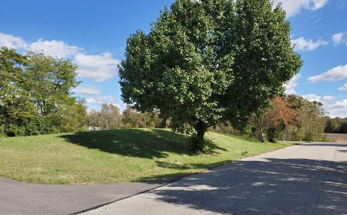 Banting Douglas Lane, Georgetown