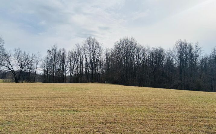 St Marys Road, Brookville