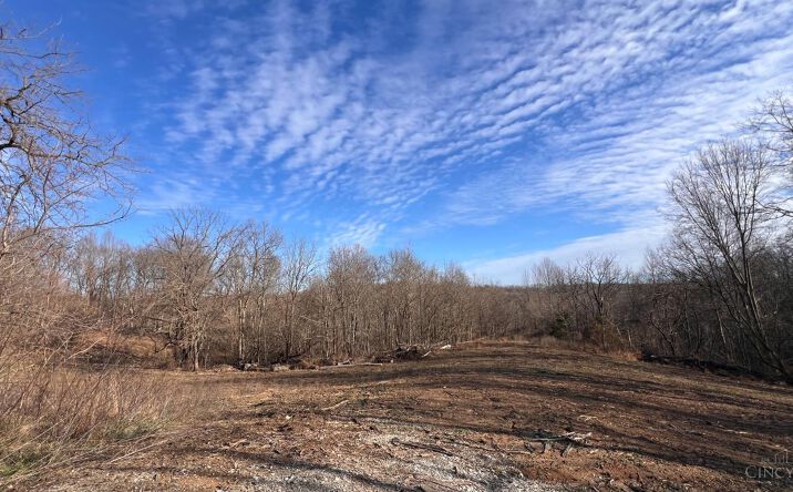 Pictures of Land property located at 2 Mcguire Ridge Road, Metamora, IN 47024 for sales - image #1