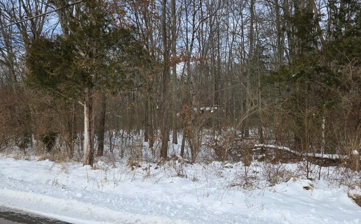 Bray Road, Goshen