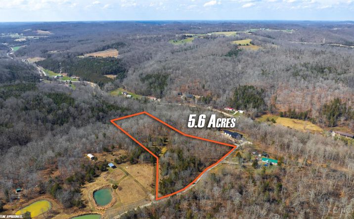 Pictures of Land property located at St Rt 247, Manchester, OH 45144 for sales - image #1