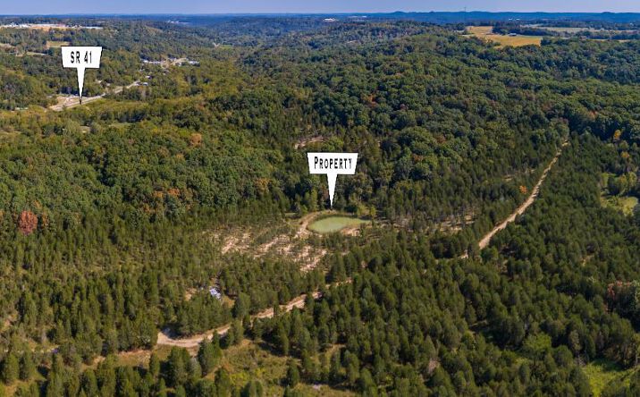 Pictures of Land property located at St Rt 41, West Union, OH 45693 for sales - image #1
