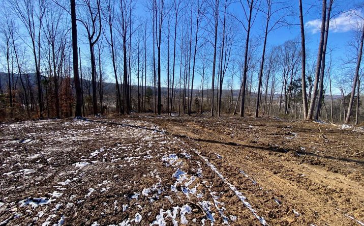 Pictures of Land property located at ac US Rt 52, Manchester, OH 45144 for sales - image #1