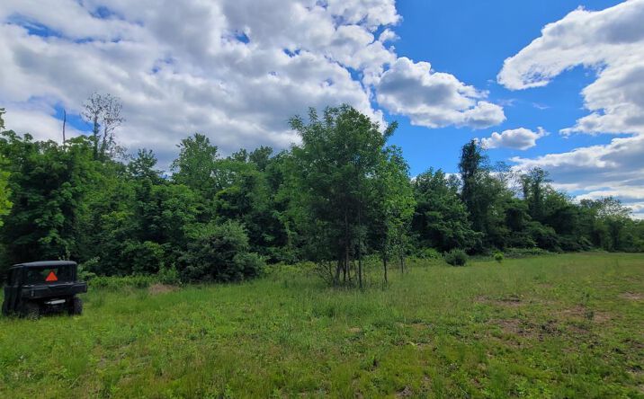Pictures of Land property located at 20.6 Ac Buckler Rd, Monroe Twp, OH 45157 for sales - image #1