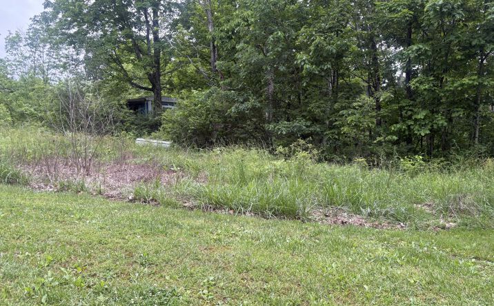 Pictures of Land property located at Parker Ridge Road, Bratton Twp, OH 45660 for sales - image #1