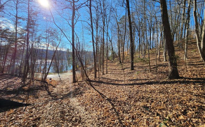 Pictures of Land property located at Cove Point Road, LaFollette, TN 37766 for sales - image #1