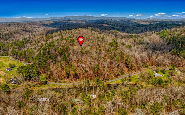 Pictures of Land property located at 54 AC Legion Road Ellijay, Ellijay, GA 30540 for sales - image #1