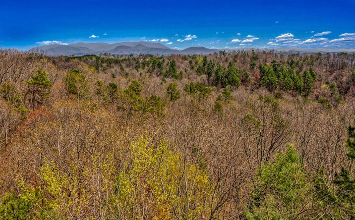 Pictures of Land property located at 104 AC Legion Road, Ellijay, GA 30540 for sales - image #1
