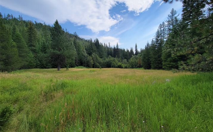 Pictures of Land property located at 1980 Rabbit Creek Road H.E.S. #1051 -, TROY, MT 59935 for sales - image #1