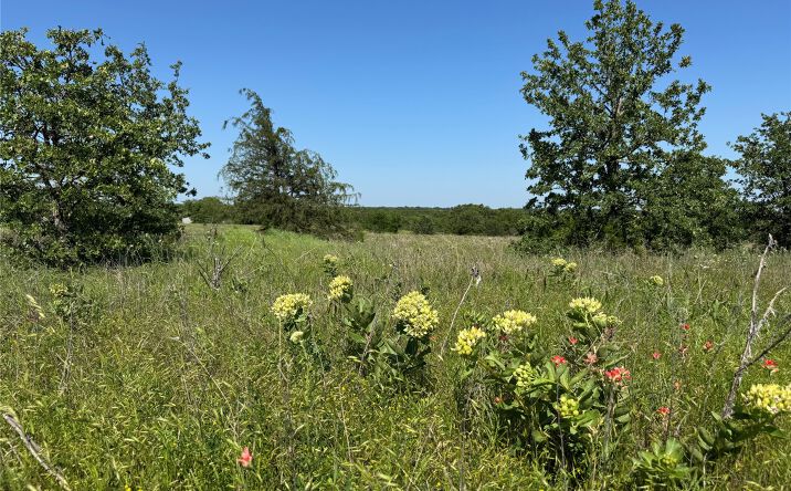 Pictures of Land property located at 2668 Buck Horn Road, Healdton, OK 73438 for sales - image #1