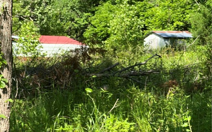 Pictures of Land property located at 27293 Little Buffalo, Stover, MO 65078 for sales - image #1
