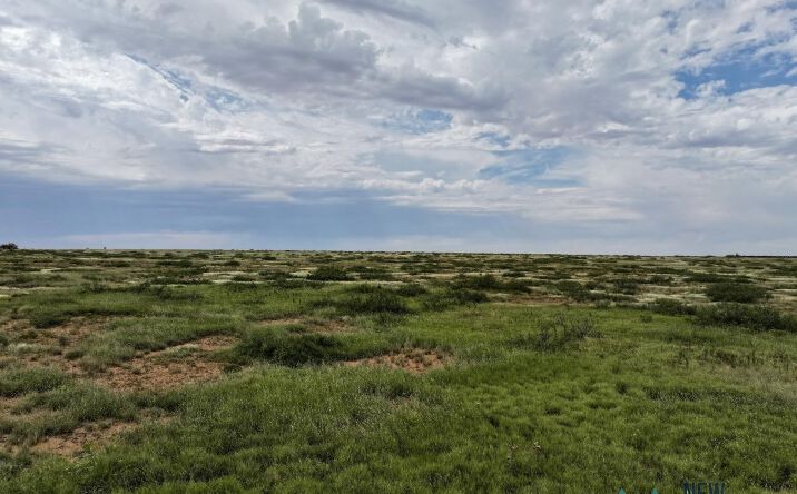 Pictures of Land property located at Dona Ana Road, Roswell, NM 88201 for sales - image #1