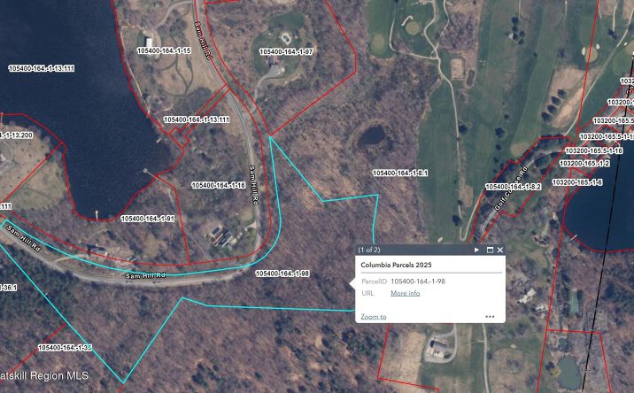 Pictures of Land, Multifamily property located at 191 Berkshire Road, Hillsdale, NY 12529 for sales - image #1
