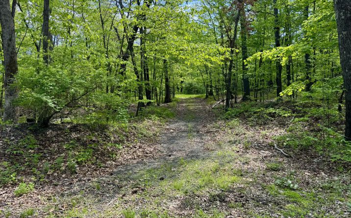 Pictures of Land property located at Tbd Bill Matter Road, Coxsackie, NY 12051 for sales - image #1