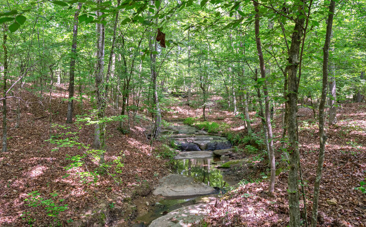 Pictures of Land property located at 0 Gene Smith Road, Carlton, GA 30627 for sales - image #1