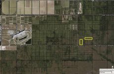 33155787