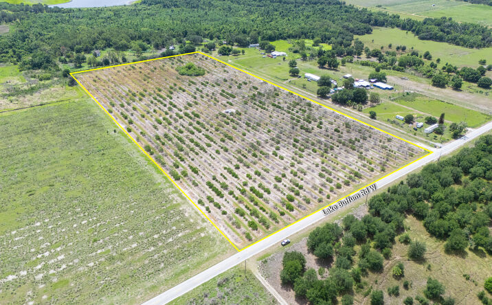 Pictures of Land property located at 0 Lake Buffum Rd W, Fort Meade, FL 33841 for sales - image #1