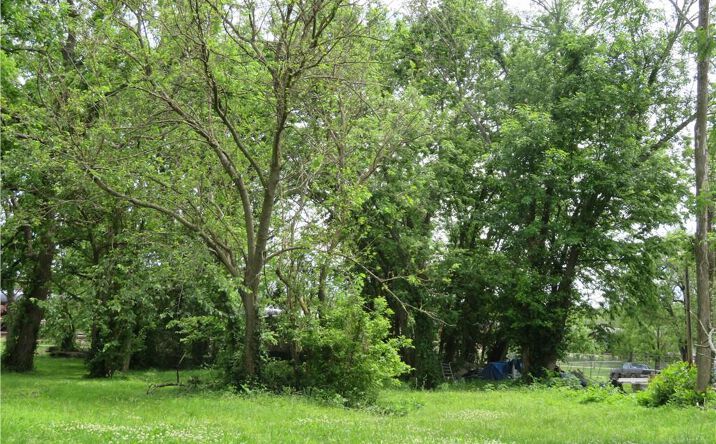 Pictures of Land, Multifamily property located at 809 Chestnut Avenue, Osawatomie, KS 66064 for sales - image #1