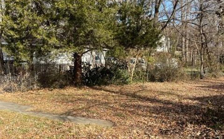 Pictures of Land, Multifamily property located at 107 N Crysler Avenue, Independence, MO 64050 for sales - image #1