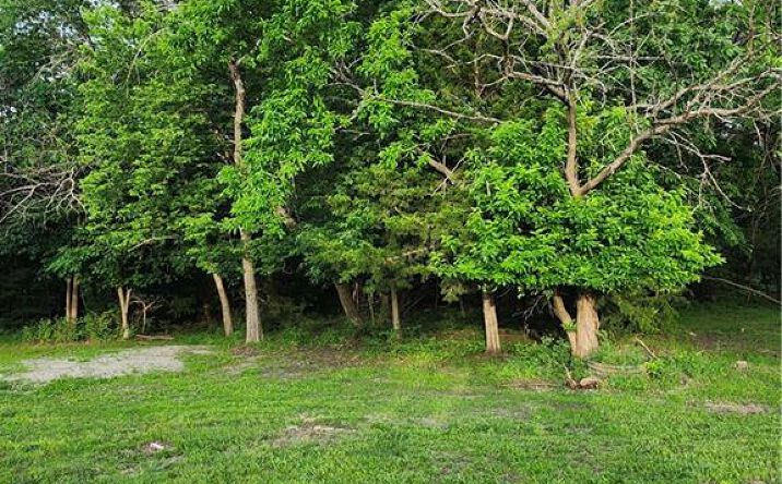 Pictures of Land, Special Purpose, Multifamily property located at 30 Boxelder Drive, Linn Valley, KS 66040 for sales - image #1