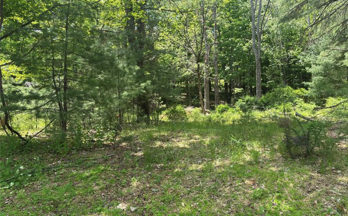 Pictures of Land property located at 400 Red Hill Road, Phillipsport, NY 12790 for sales - image #1