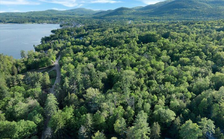 Pictures of Land property located at 3089 Lakeshore Drive, Lake George, NY 12845 for sales - image #1