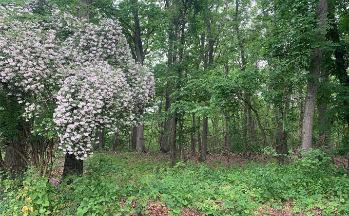Pictures of Land property located at 105 Laurel Lane, Port Jefferson, NY 11777 for sales - image #1