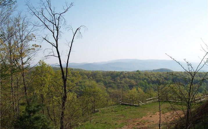 Pictures of Land property located at 0 LOWER SASSAFRAS PKWY, JASPER, GA 30143 for sales - image #1