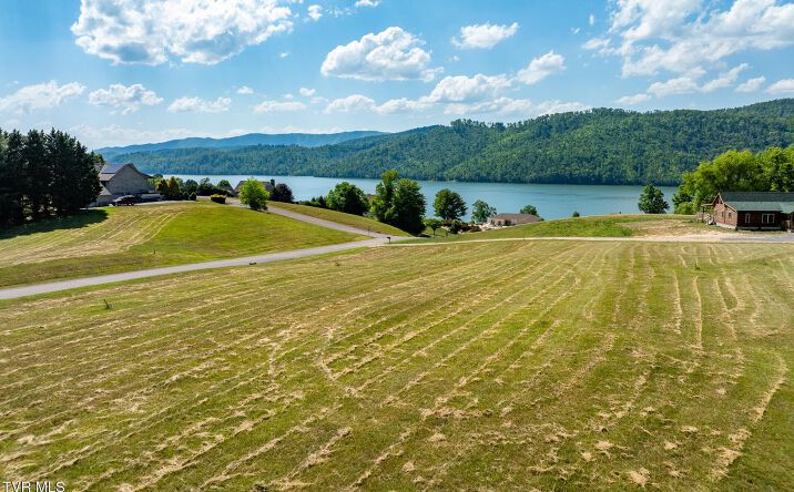 Pictures of Land property located at TBD Deer Ridge Court Unit # Lot 6, Butler, TN 37640 for sales - image #1