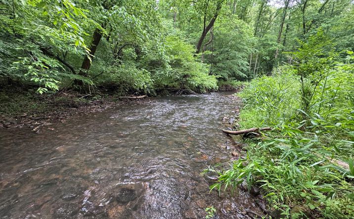 Pictures of Land property located at Green Acorn Lane, Murphy, NC 28906 for sales - image #1