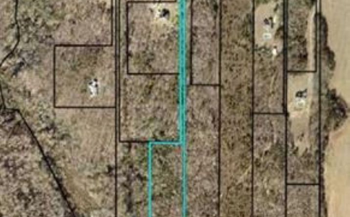 Pictures of Land property located at Flournoy Road, Hawkinsville, GA 31036 for sales - image #1