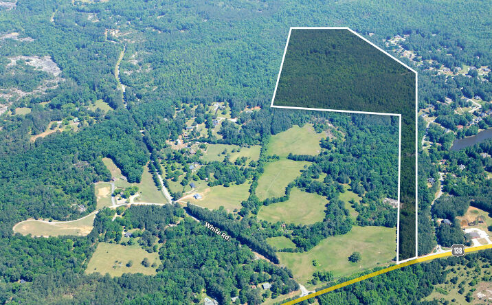 Pictures of Land property located at NE Highway 138, Conyers, GA 30013 for sales - image #1