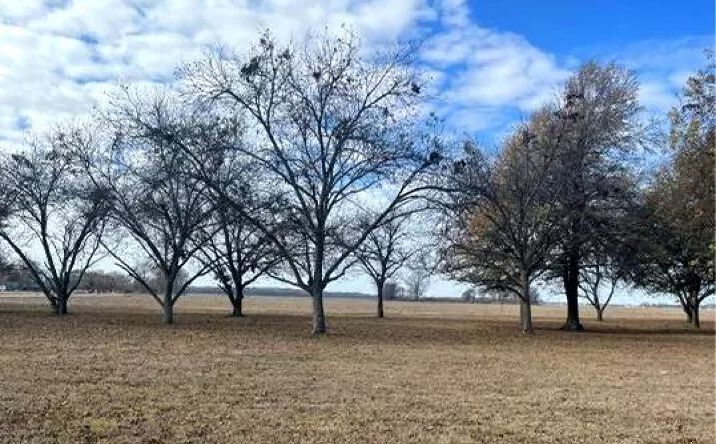 Pictures of Land property located at 1810 S. Ohio Street, 9440, AR 71601 for sales - image #1