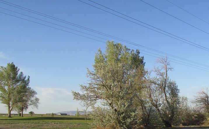 Pictures of Land property located at 2 Lots SW Corner Golf Course, Milford, UT 84751 for sales - image #1