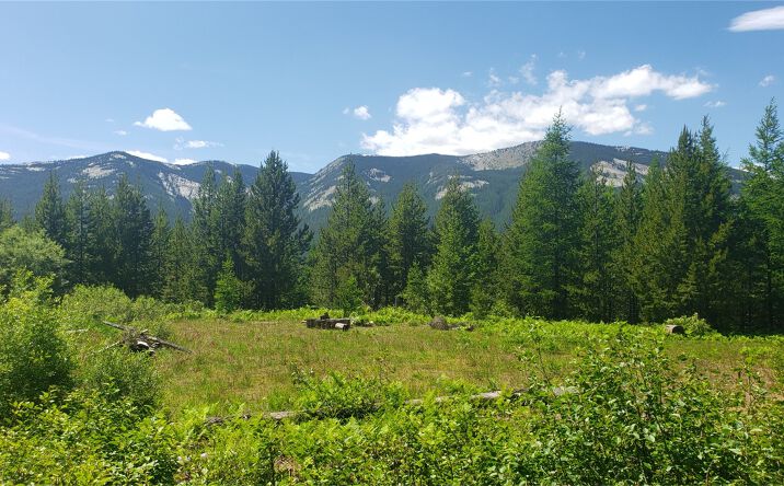 Pictures of Land property located at 14463 Libby Creek Road, LIBBY, MT 59923 for sales - image #1