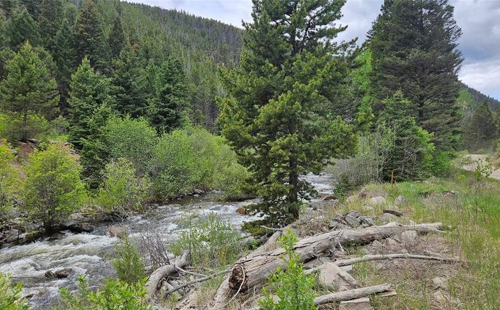 Pictures of Land property located at 67 Basin Creek Road, BOULDER, MT 59632 for sales - image #1