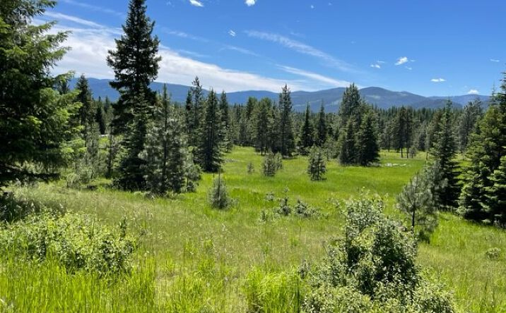 Pictures of Land property located at no address Green Mountain Road, TROUT CREEK, MT 59874 for sales - image #1