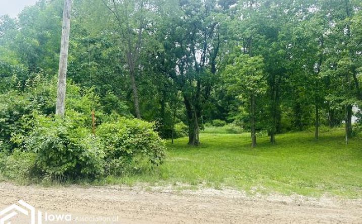 Pictures of Land property located at 206 Woodland Road, Montezuma, IA 50171 for sales - image #1