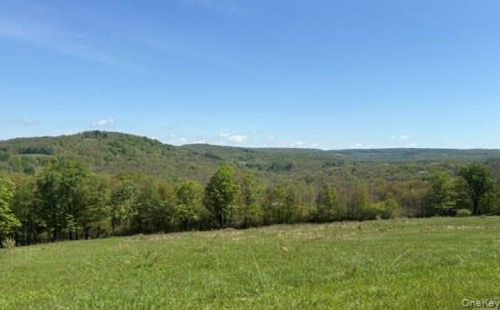 Pictures of Land property located at 52 E Hill Road, Jeffersonville, NY 12748 for sales - image #1