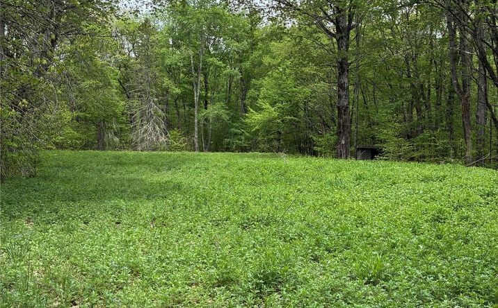 Pictures of Land property located at 1 Mountain lake Road, Call Listing Agent, NY 13731 for sales - image #1