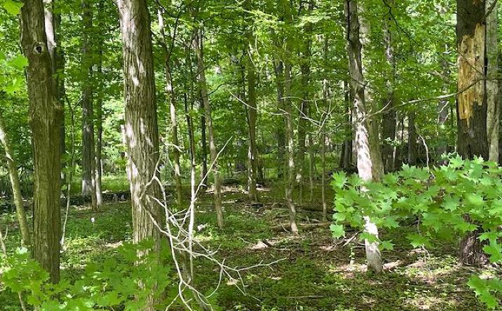 Pictures of Land, Special Purpose property located at Joel M Austin Road N, Cairo, NY 12413 for sales - image #1
