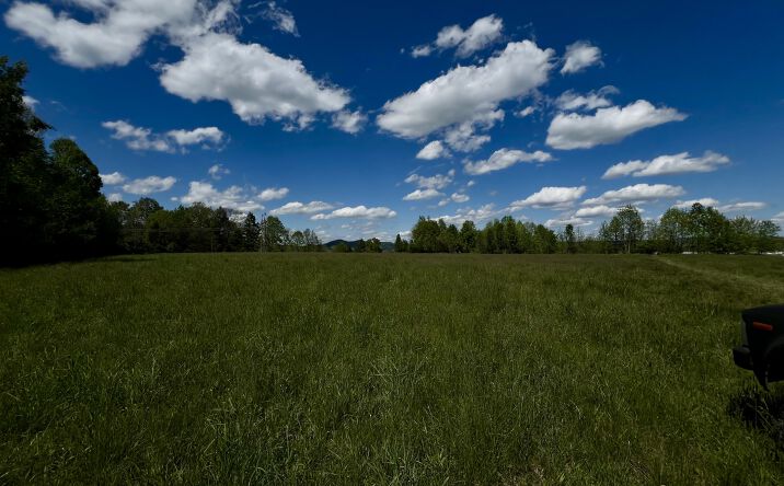 Pictures of Land property located at 300 Wal St., Summersville, WV 26651 for sales - image #1