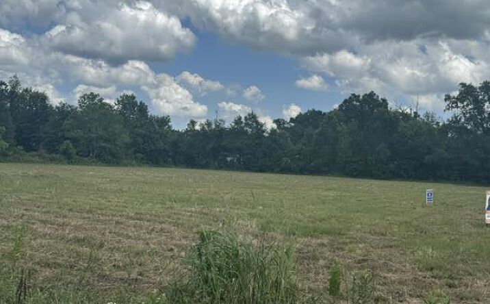 Pictures of Land property located at 000 Hwy. 62, Orange, TX 77632 for sales - image #1