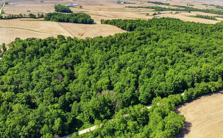 Pictures of Land property located at Parcel 020140002600, Colesburg, IA 52035 for sales - image #1