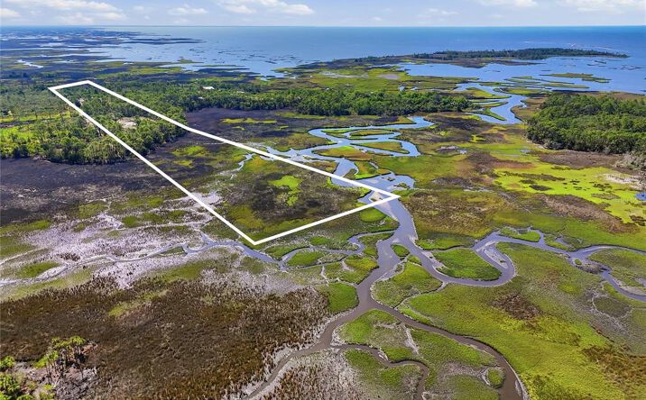 Pictures of Land property located at TBD State Road 24, Cedar Key, FL 32625 for sales - image #1