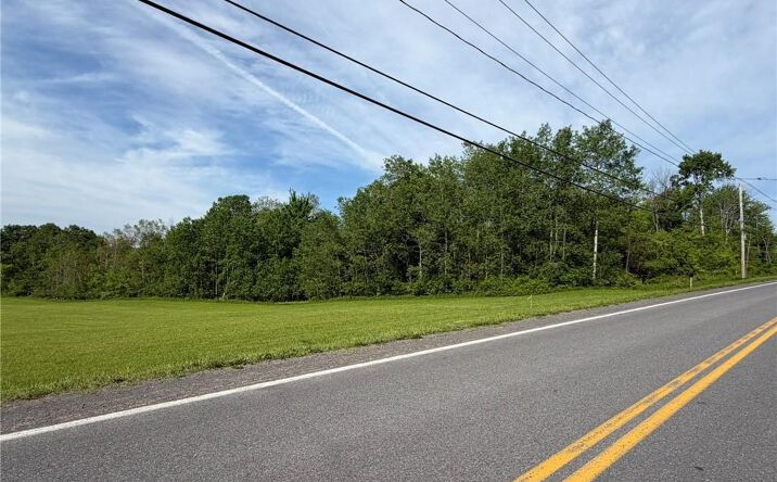 Pictures of Land property located at Morgan Road, Marcy, NY 13403 for sales - image #1