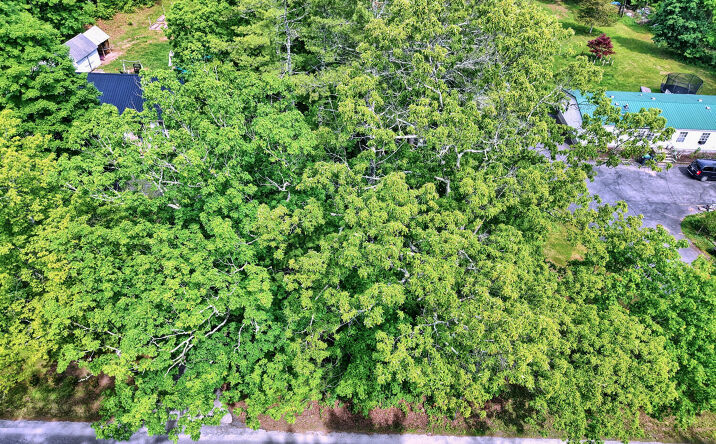 Pictures of Land, Multifamily, Special Purpose property located at 396 Frank Hitchcock Road, Cairo, NY 12413 for sales - image #1